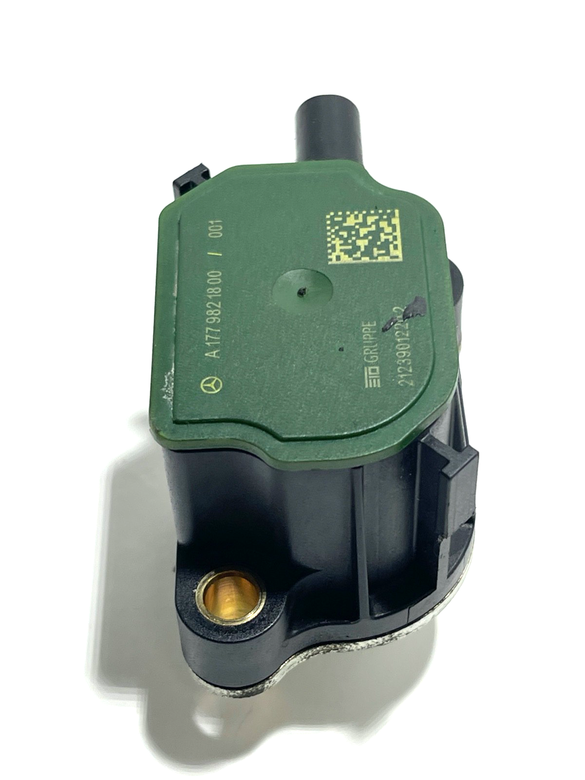 7618004